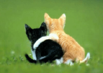 friendship.gif